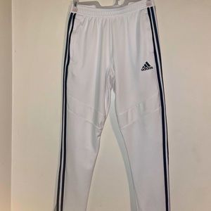 Adidas Tiro 19 Training Pant